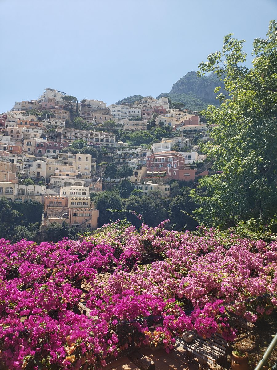 Positano hillside houses seen through a terrace of pink bougainvillea